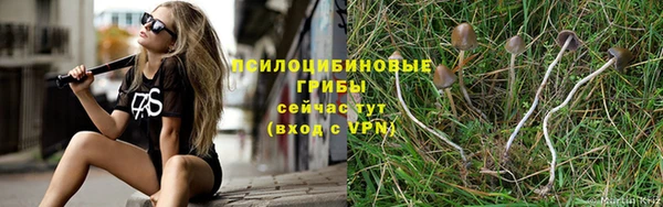 синтетический гашиш Абдулино