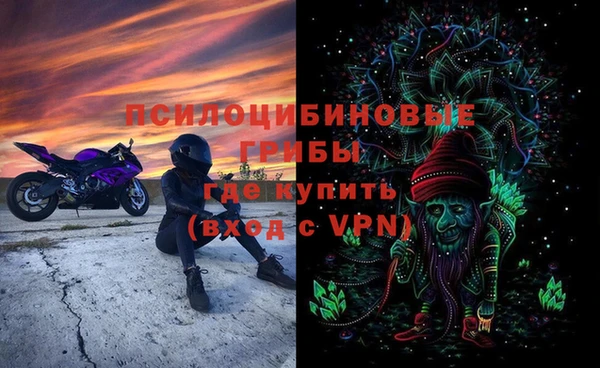 ECSTASY Алексеевка