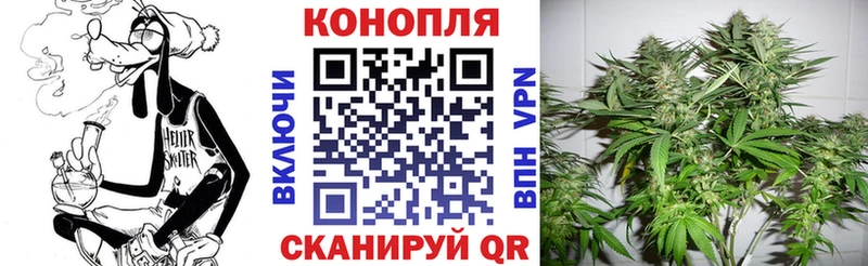 Шишки марихуана индика  где купить наркоту  Ефремов 